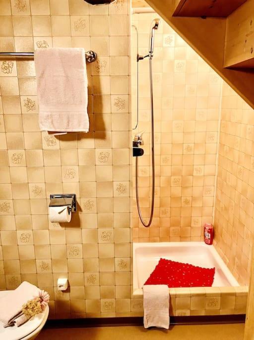 Chesa Margadant Apartman Zuoz Kültér fotó